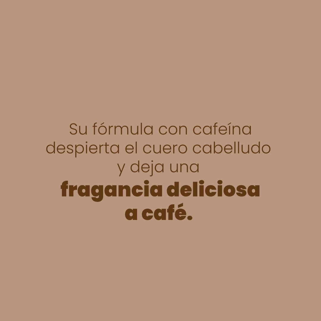Shampo Con Café Anyeluz