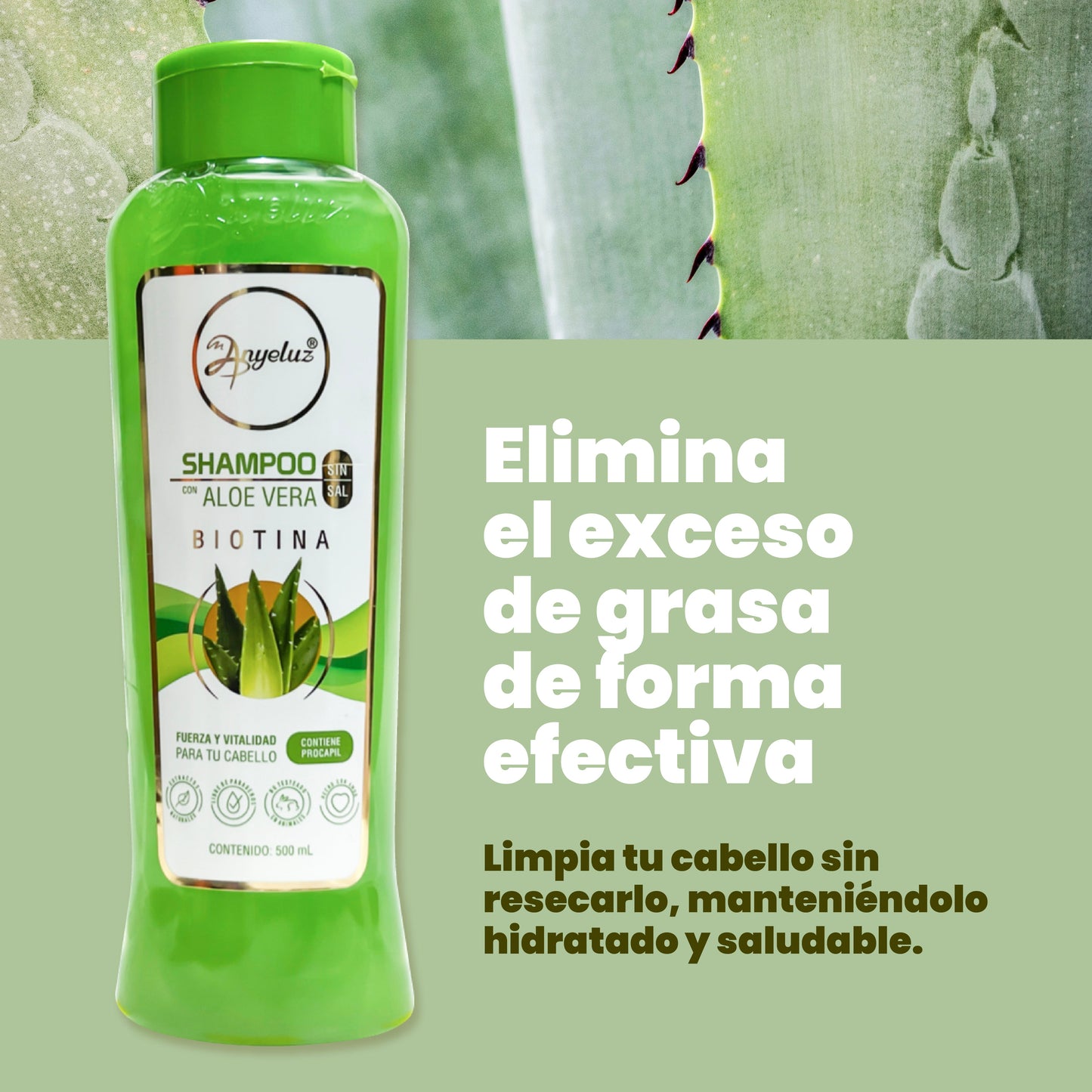 Shampoo Aloe Vera Anyeluz