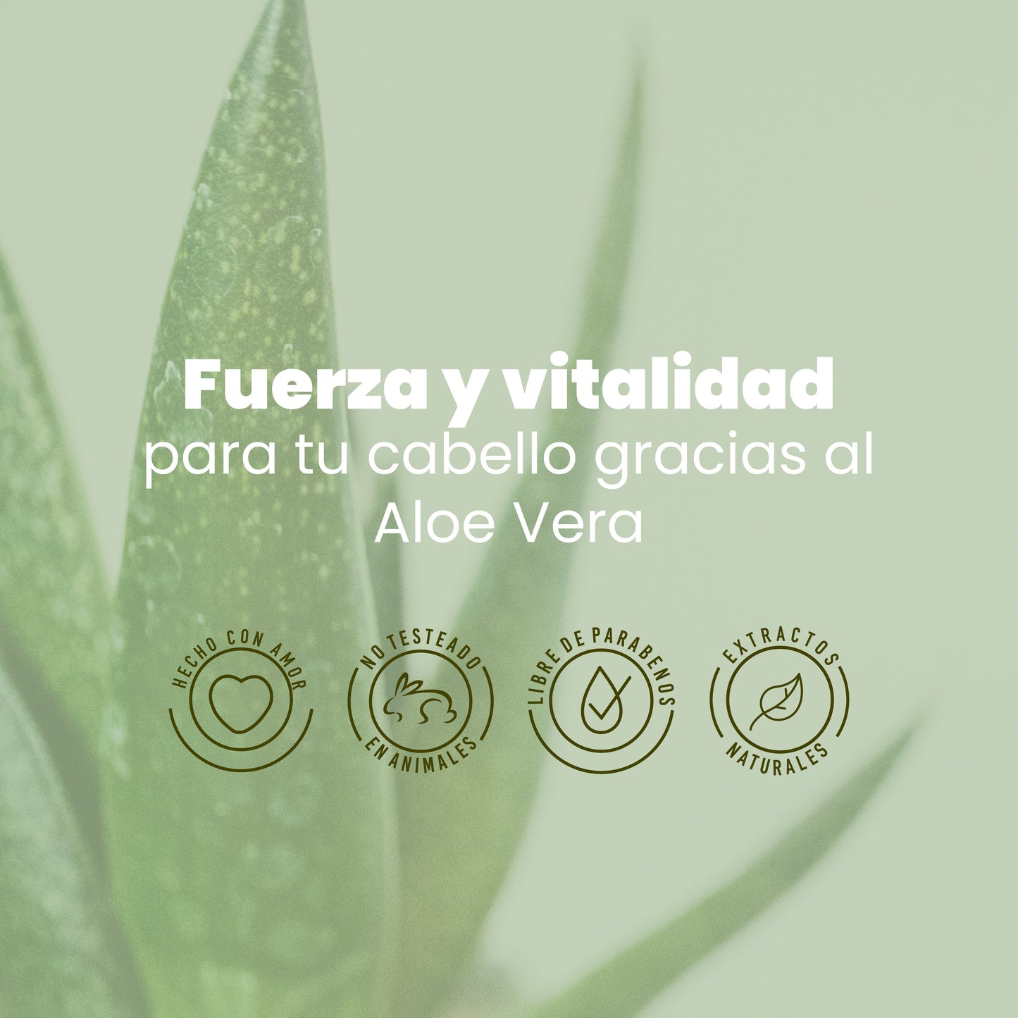 Shampoo Aloe Vera Anyeluz