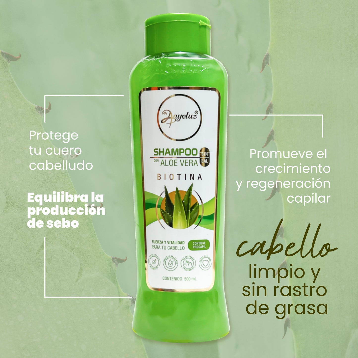 Shampoo Aloe Vera Anyeluz