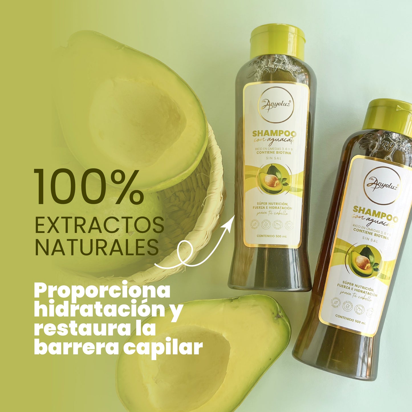 Shampoo Con Aguacate Anyeluz