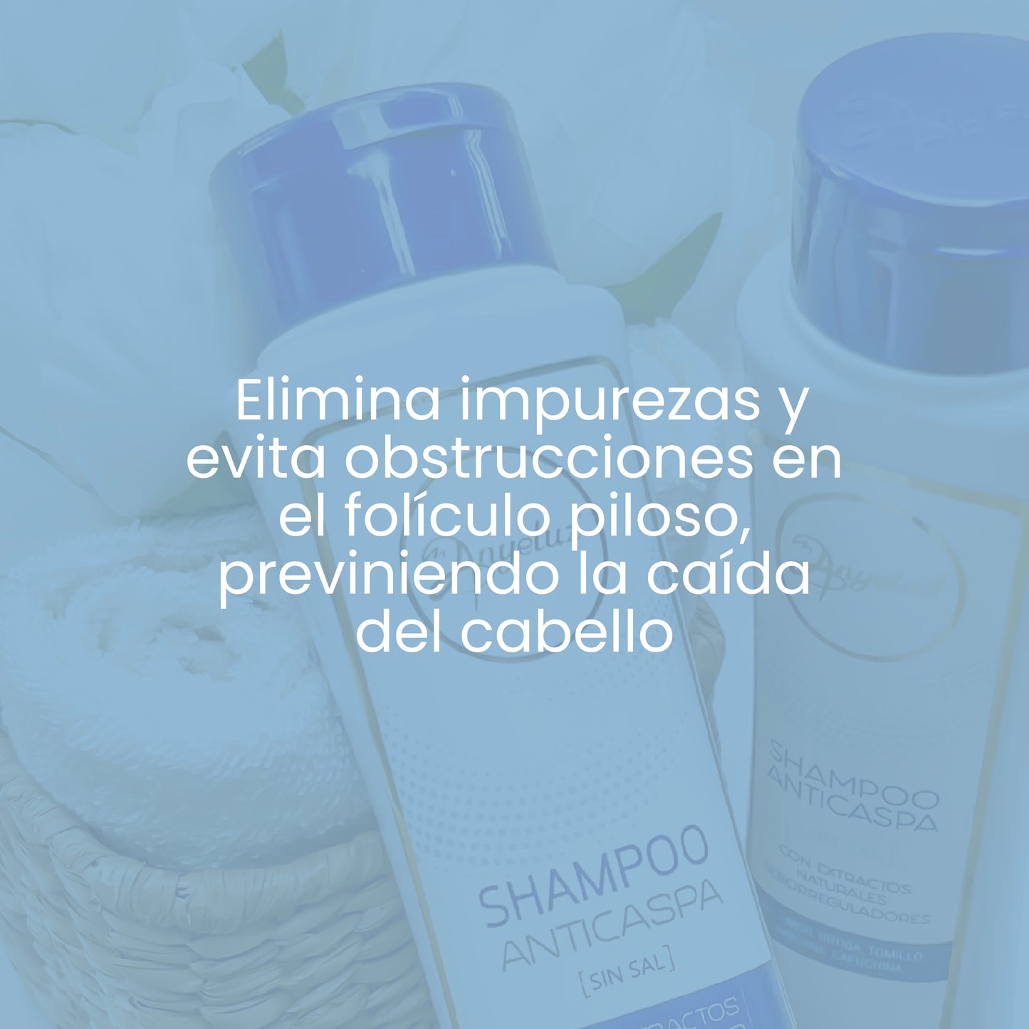 Shampoo Anticaspa