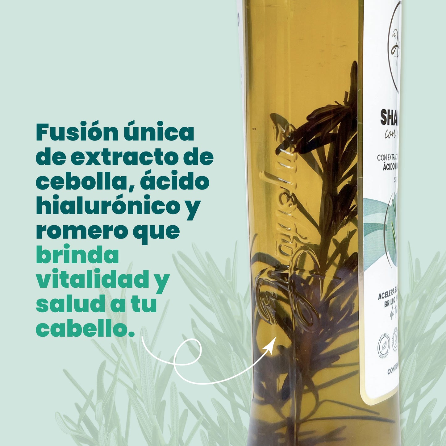 Shampoo Con Romero Anyeluz