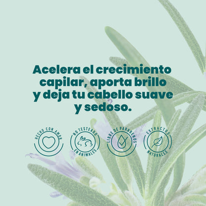 Shampoo Con Romero Anyeluz